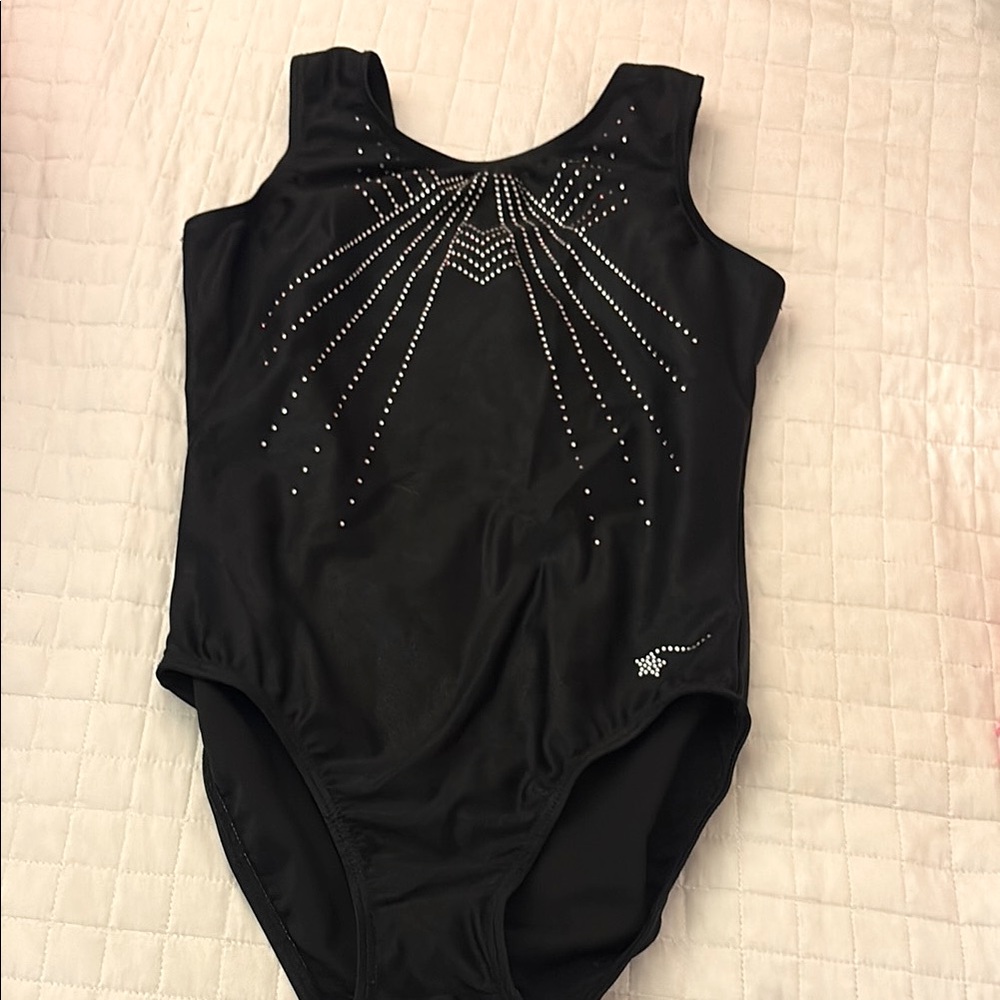 Black Leotard with Silver sparkly Accents